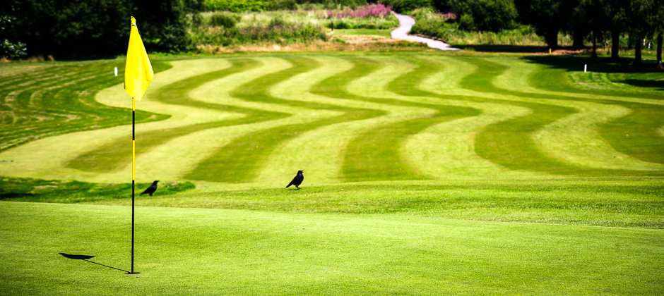 Morriston Golf Club Field